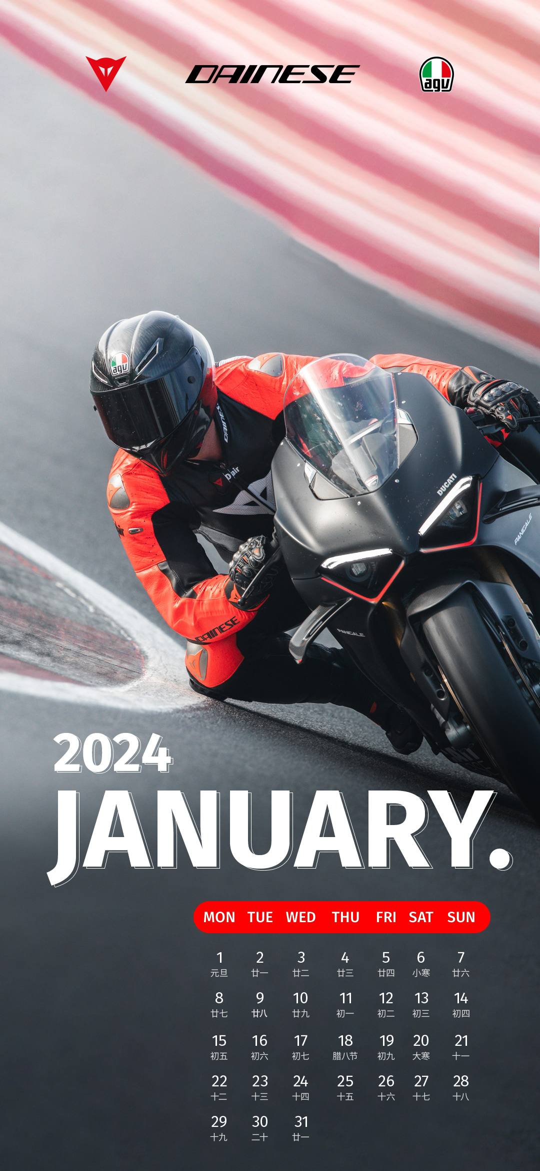 Dainese January